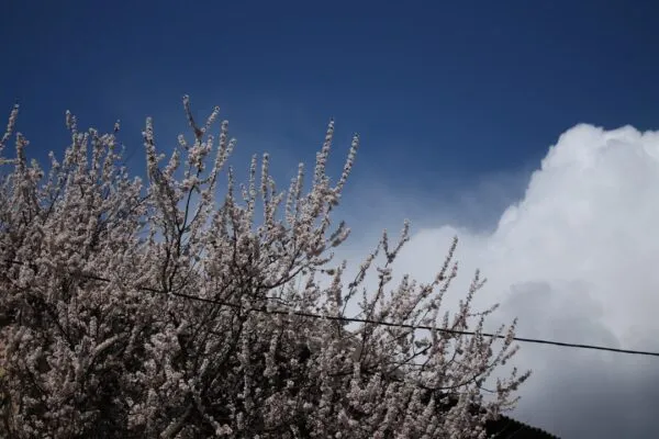 Photo Spring Weather Impacts Colorado Homes
