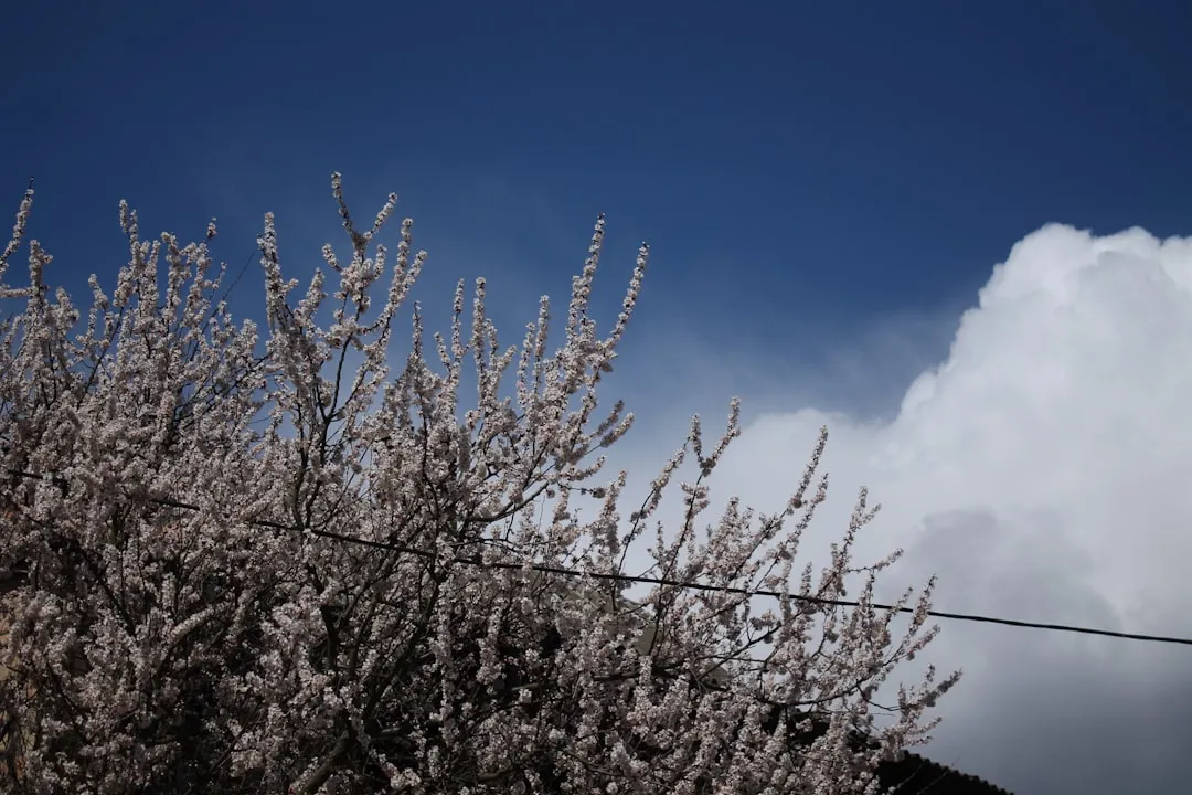 Photo Spring Weather Impacts Colorado Homes
