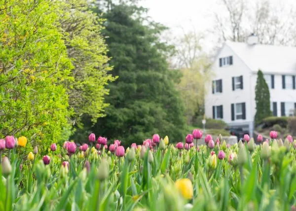 Photo Spring Home Maintenance Checklist