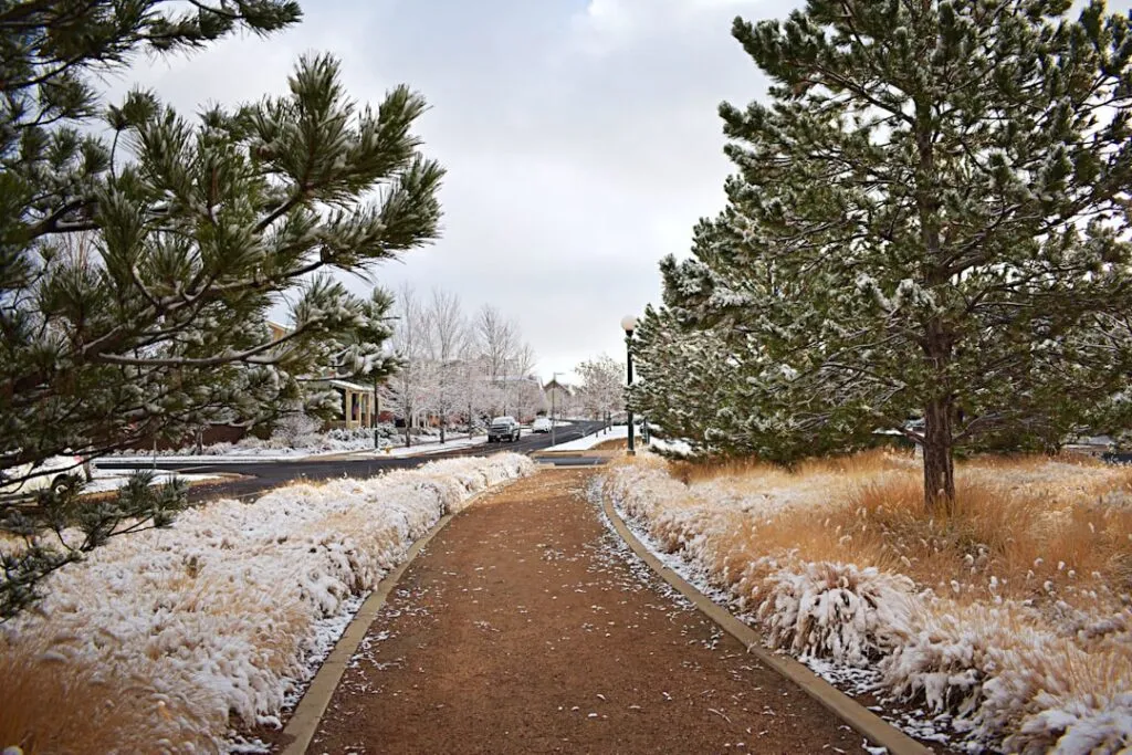 Photo Winter 2026 Colorado Homes Prepare