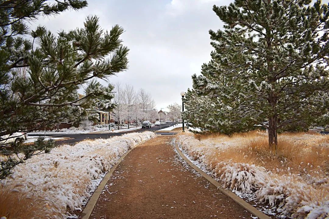 Photo Winter 2026 Colorado Homes Prepare