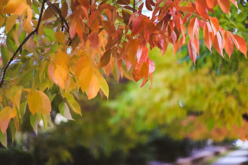 Photo Longmont, Colorado