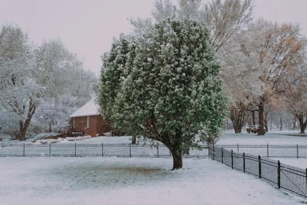Photo Winterizing Colorado Home
