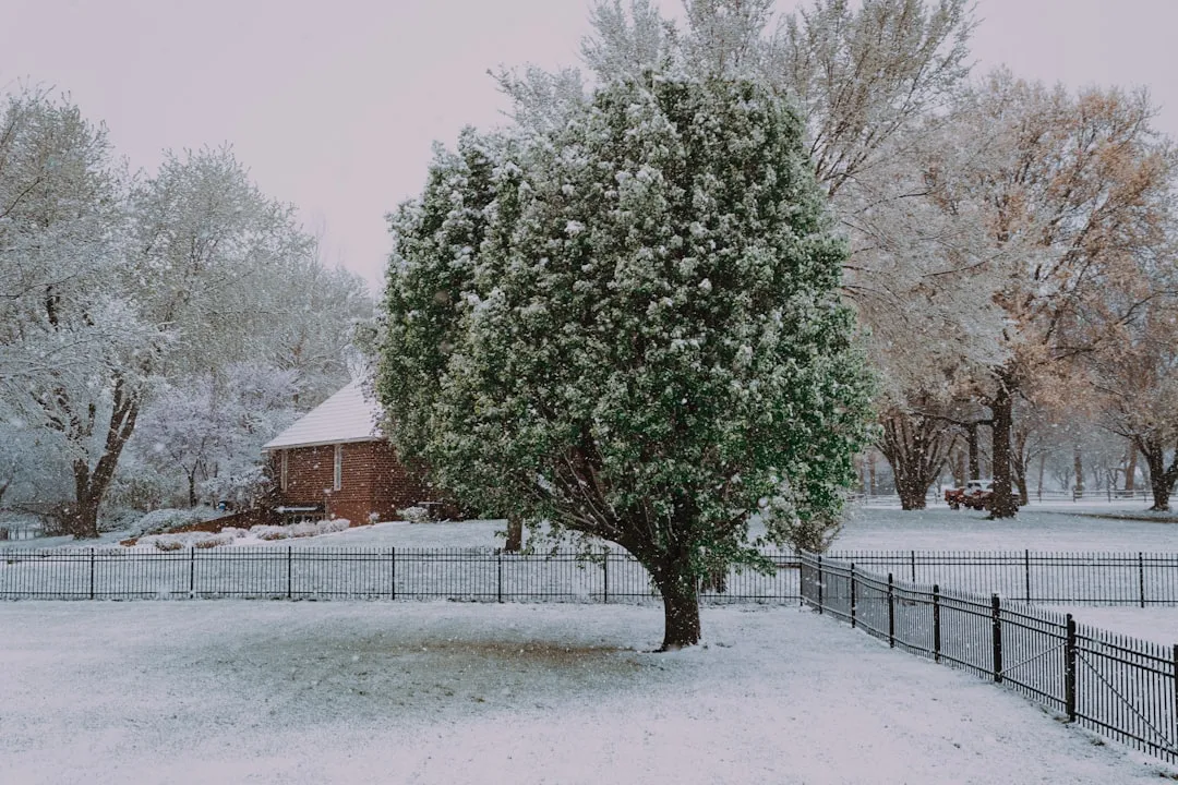 Photo Winterizing Colorado Home
