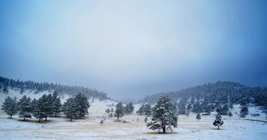 Photo Colorado Home Winter Weather