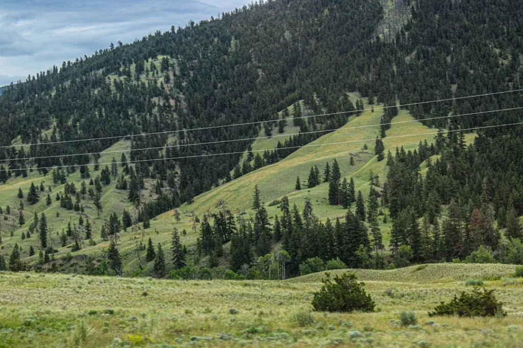 Photo Cost of Living Niwot Colorado